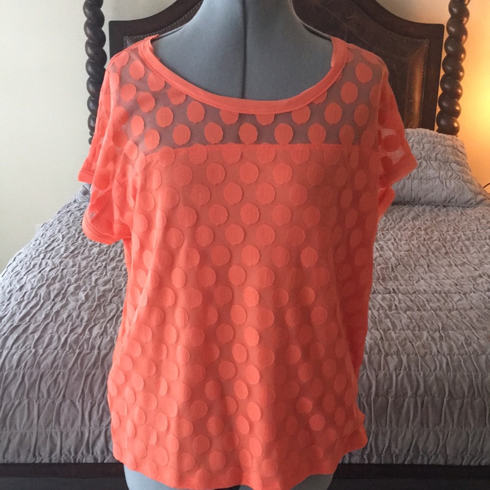 Ann Taylor top